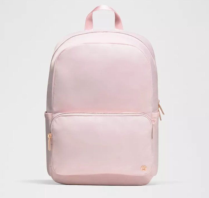 Everywhere Backpack 22L Metal Hardware