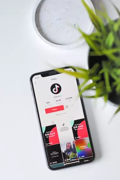 Image of TikTok platform