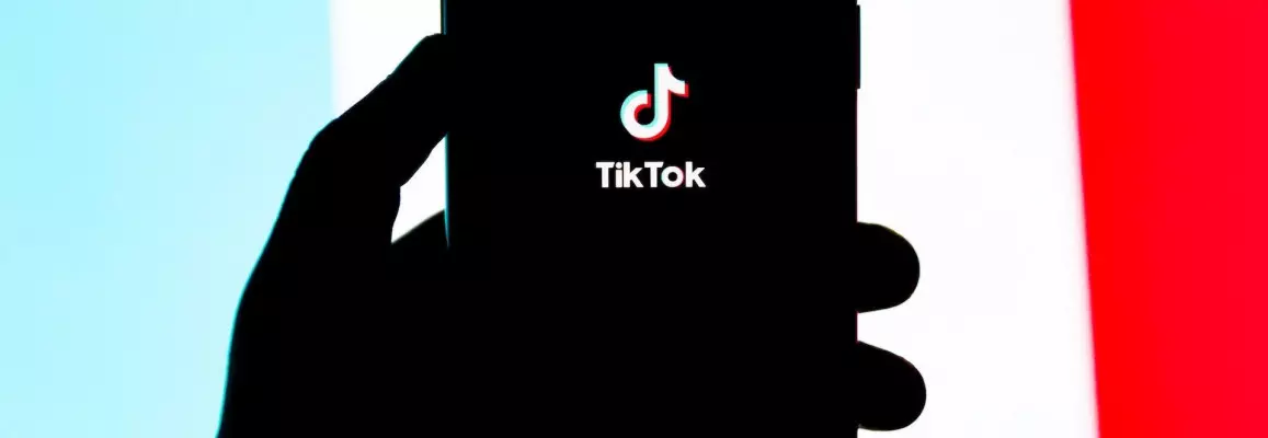 How Businesses Can Use TikTok for Ecommerce Marketing