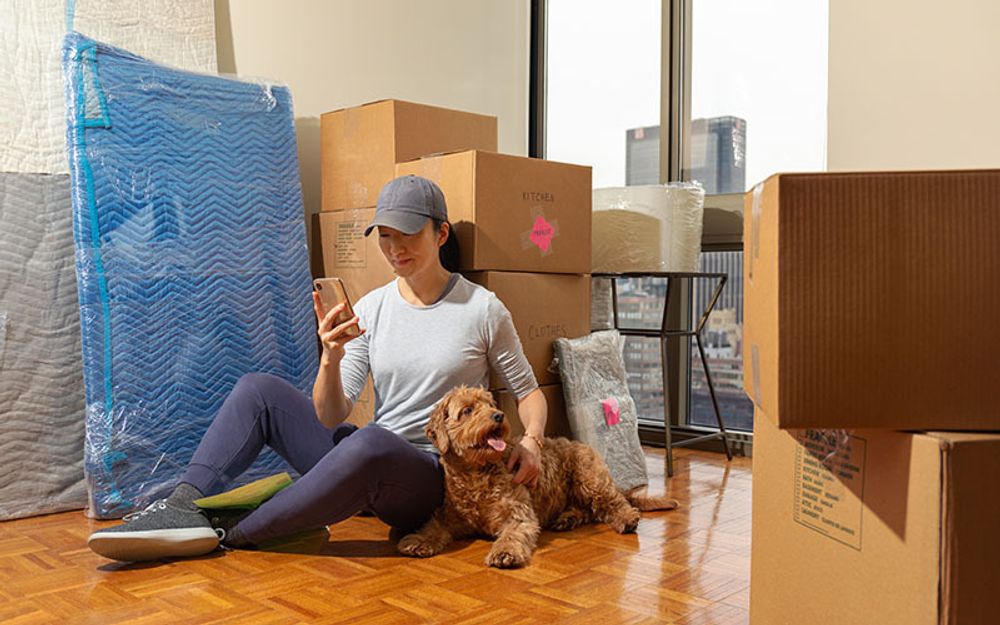 Moving Day: How to Transition to a New Rental with an Existing Assistance Animal