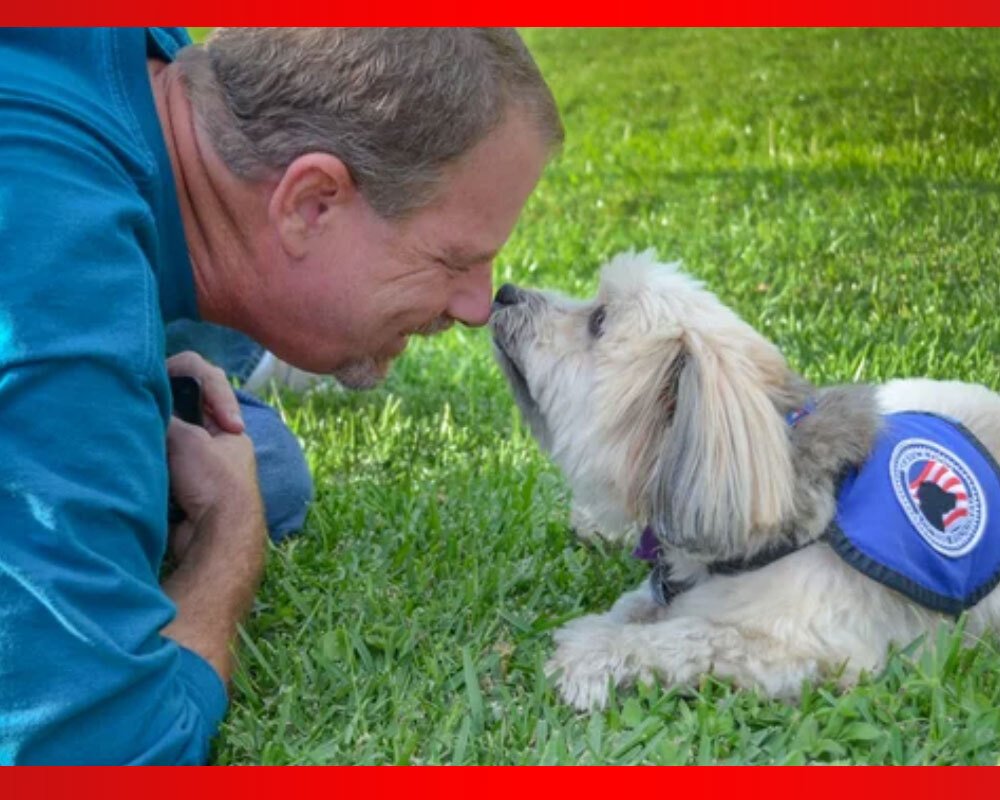 How Emotional Support Dogs Help With Anxiety