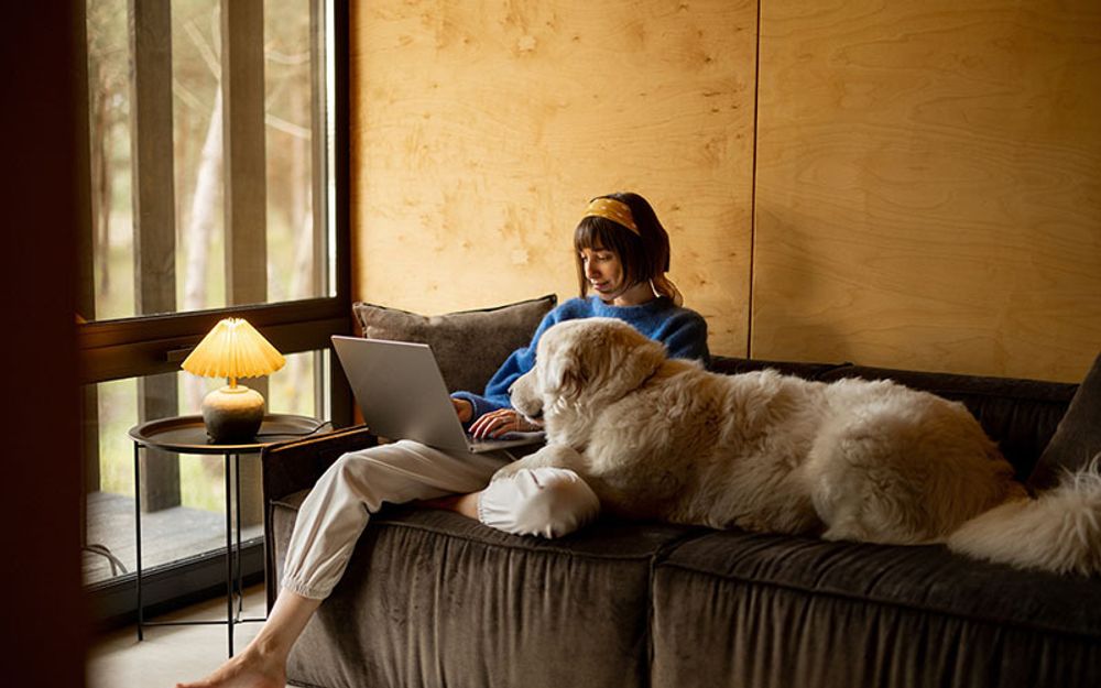 The Science of Support Dogs: What Happens to Your Brain When You Have an ESA