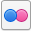 Flickr Icon