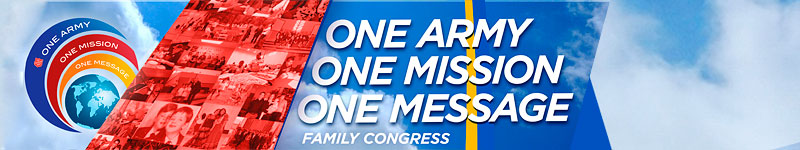 Commissionining 2013 Banner