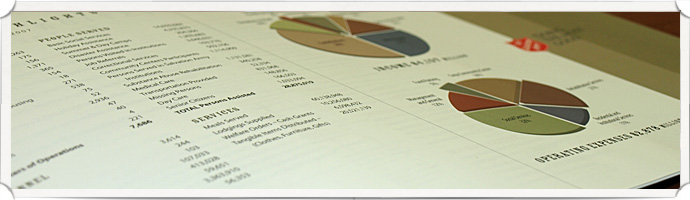 Annual Reports and Brochures