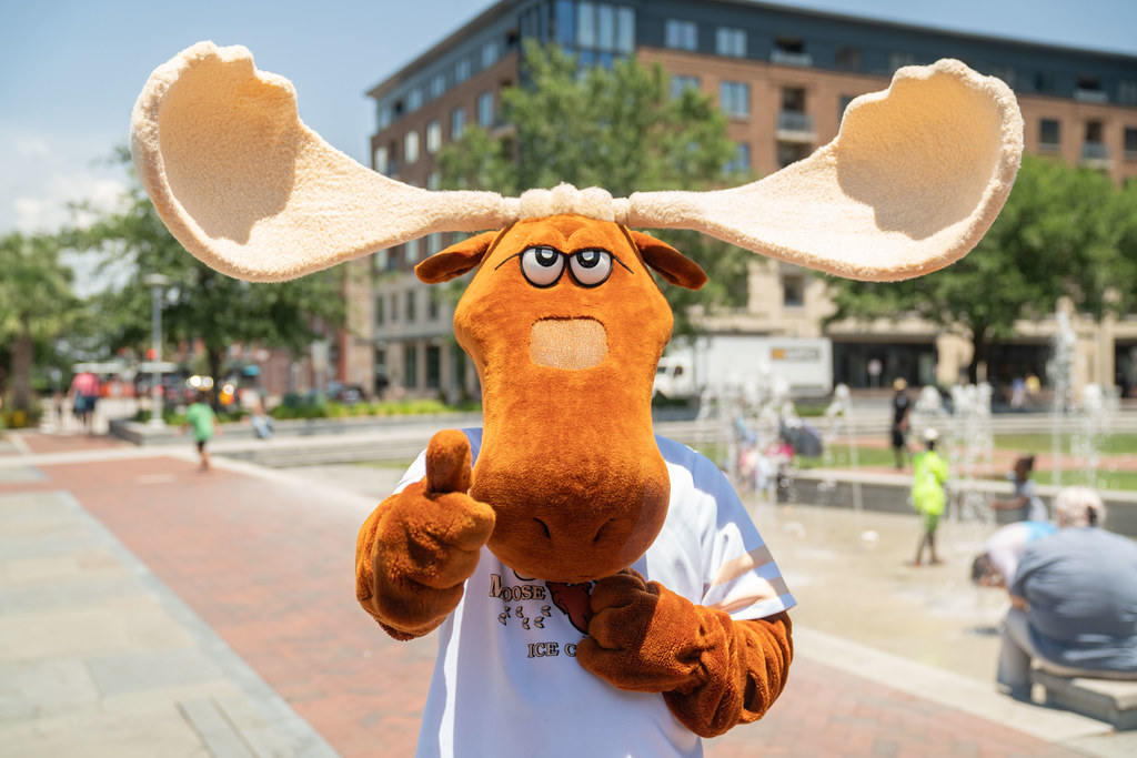 10,000 Scoop Challenge Image