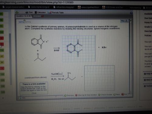 Gabriel synthesis mcat picture