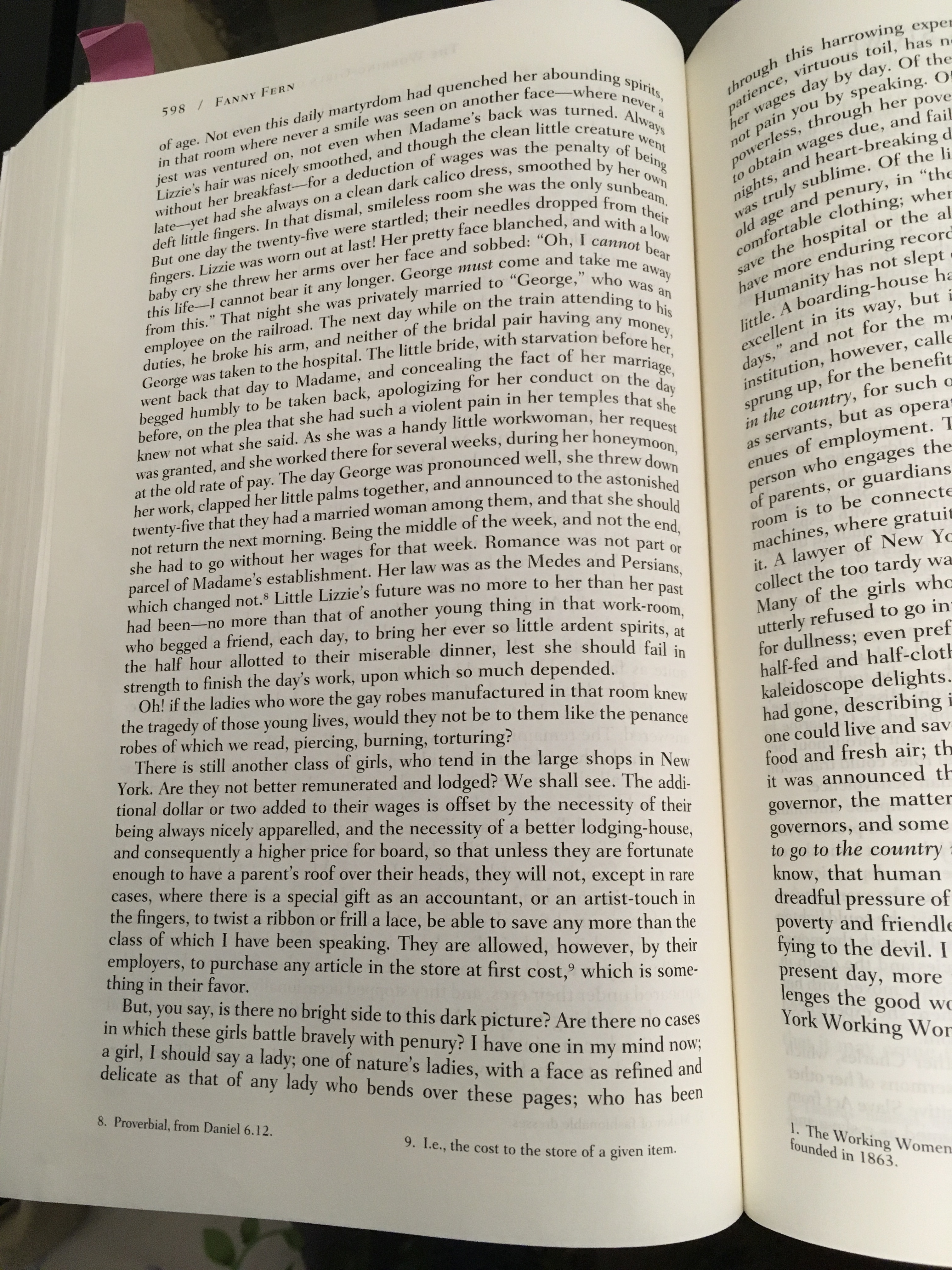 Do ferns have seeds image