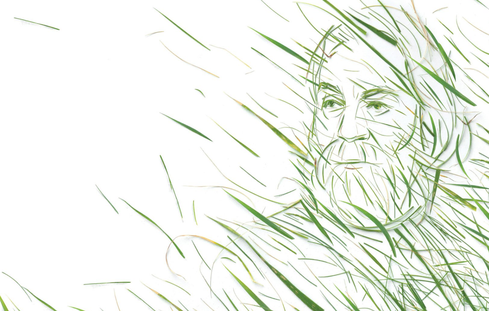 What are some traits of Walt Whitman's poetic style? eNotes