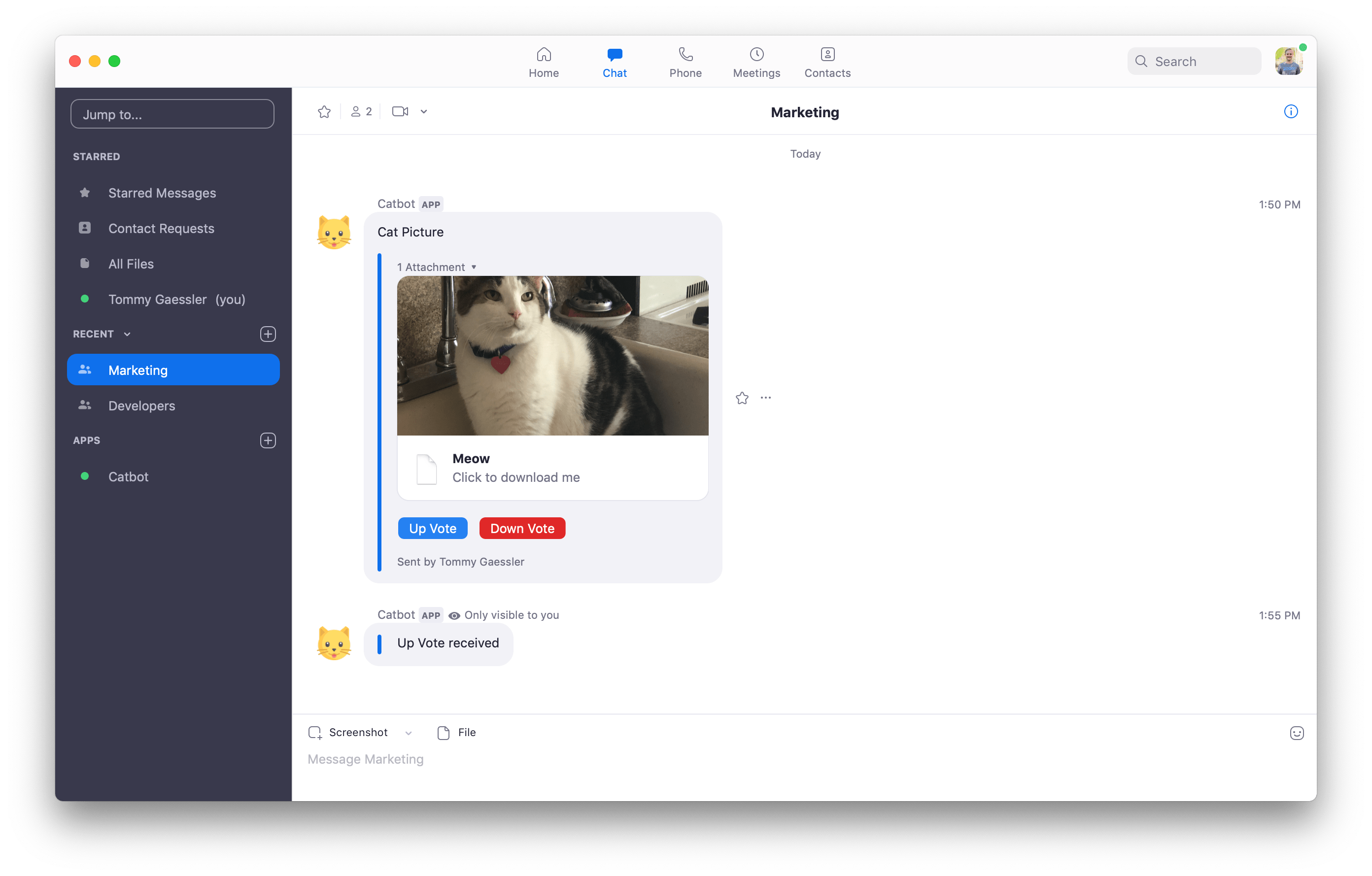 Using the Chatbot CLI Chatbots Documentation