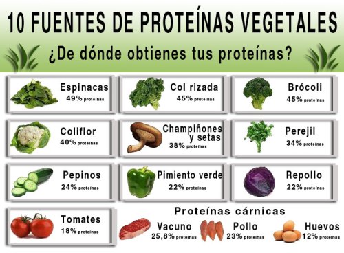 proteinas
