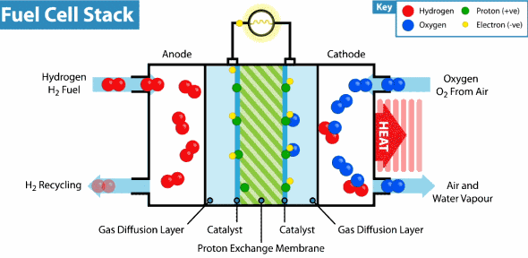 What Is A Fuel Cell >> Hydrogen Fuel Cell Infographic By Nate Jonesq Infographic What Is A Fuel Cell >> Hydrogen Fuel Cell Infographic By Nate Jonesq Infographic