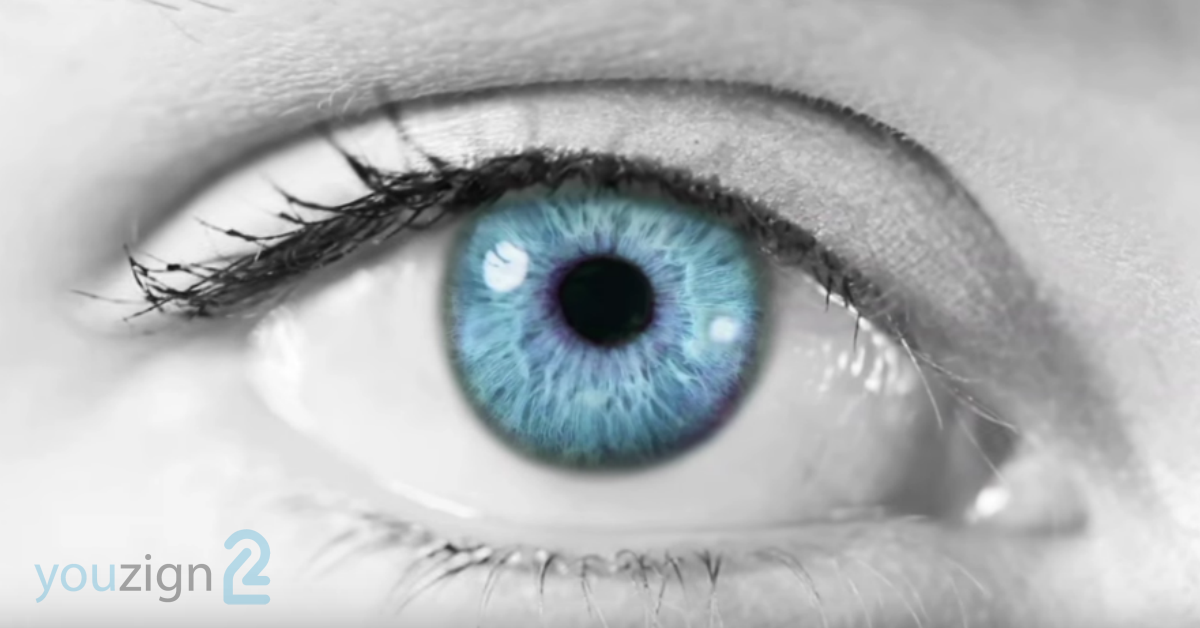 Facebook Ad Eye