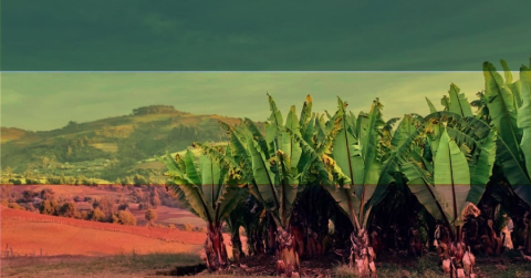 Ethio Background Youzign