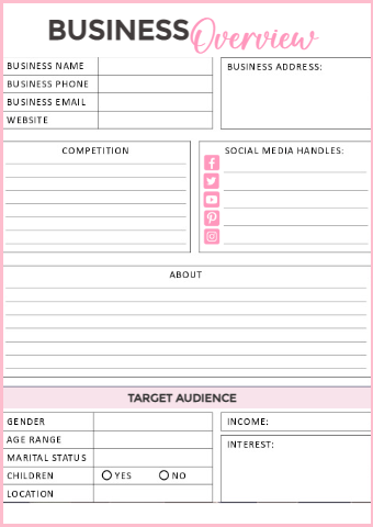 Pink Business Overview Youzign