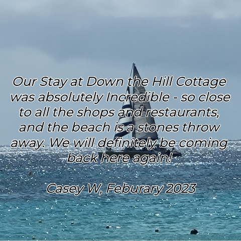 Iaw Review 1 Youzign