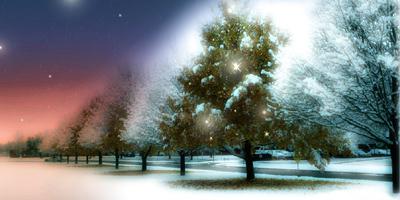 Top 20 Christmas Wallpapers of 2009 -christmas-wallpaper