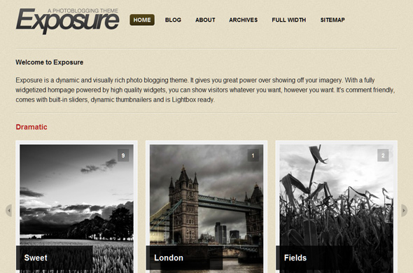 100 Best Premium WordPress Themes of 2009 - WordPress template - Exposure