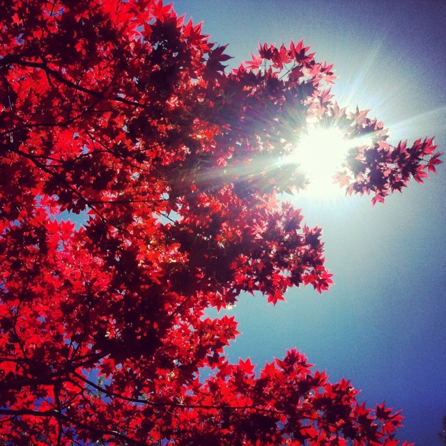 blotto_instgram_2012_6884.jpg blotto_instgram_2012_6884.jpg