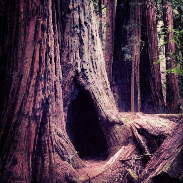 blotto_instgram_2012_6926.jpg blotto_instgram_2012_6926.jpg