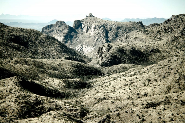 desert_lemmondec2011_blotto_5368.jpg desert_lemmondec2011_blotto_5368.jpg