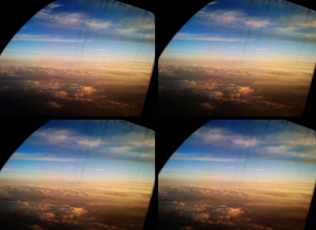 enviro_az_blotto_2286.jpg