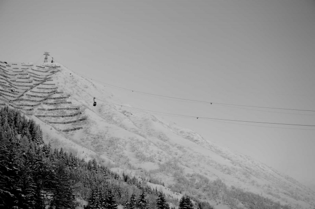 enviro_swiss_blotto_6948_1.jpg