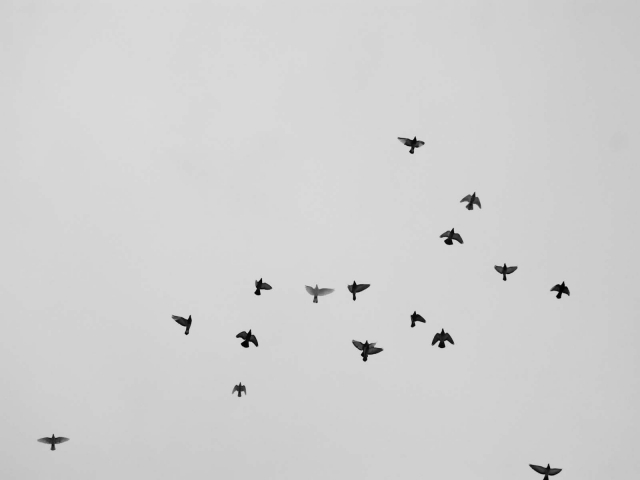 enviro_utah_blotto-0707.jpg