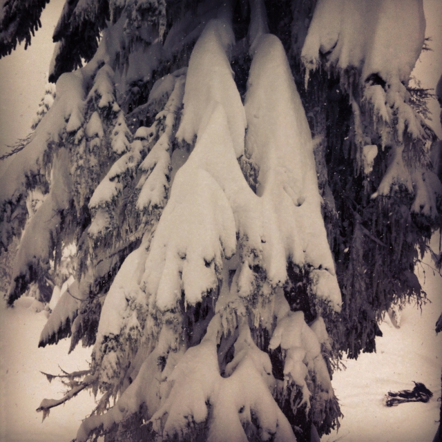 instagram_blotto_2012_5488.jpg instagram_blotto_2012_5488.jpg