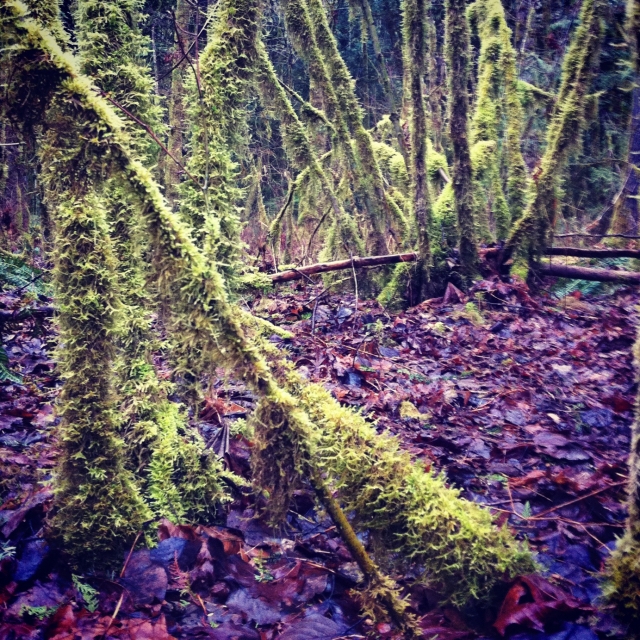 instagram_blotto_2012_6499.jpg instagram_blotto_2012_6499.jpg