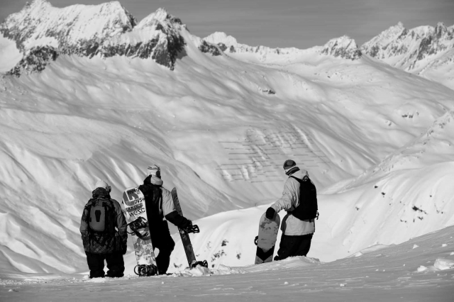 mads_swiss_blotto_7133_1.jpg