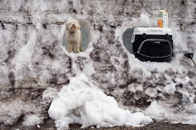 parkinglot_superpark2013_blotto_5566_1.jpg