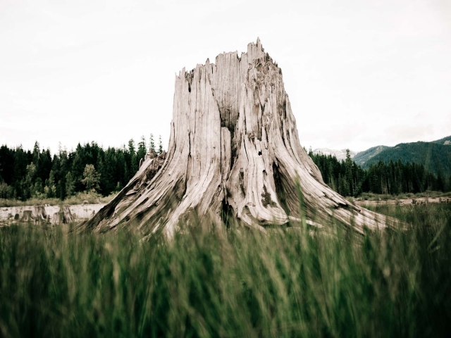 snoqualmiepass_wa_blotto_1120449.jpg