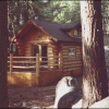 spooner4_1.jpg