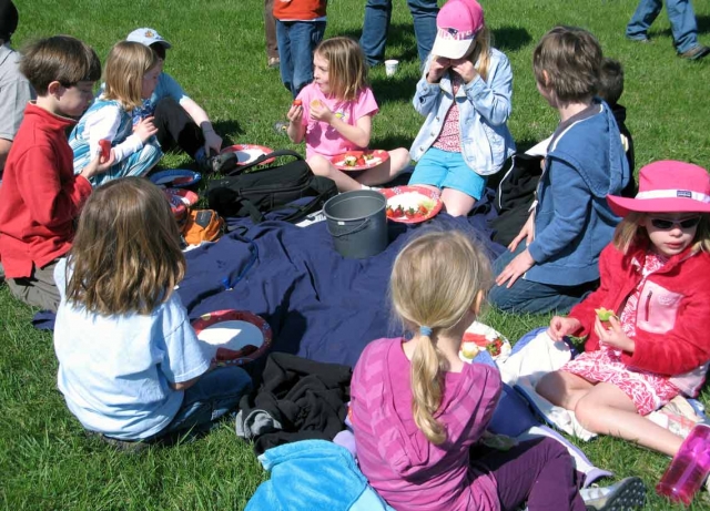 picnic-snack-1.jpg
