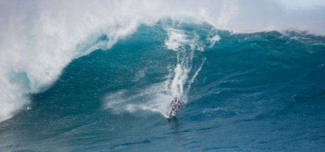 jaws_press_release_pic.jpg jaws_press_release_pic.jpg