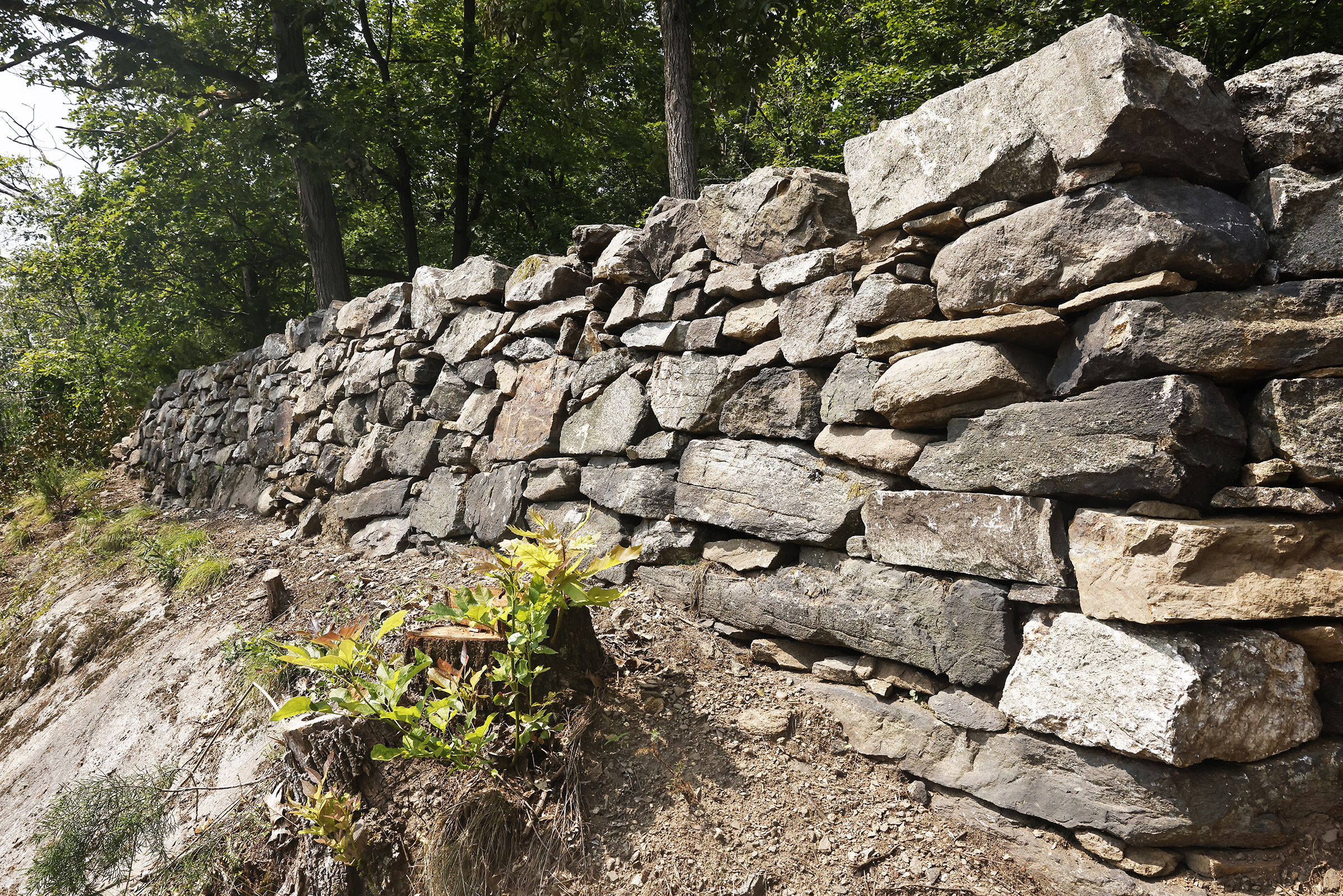 Through the Fortress West Point Project, the goal over the next eight years is to preserve the George Washington fortification system in celebration of the 250th anniversary of the American Revolution (1775-1783), which includes several defense fortification positions being resurrected during the semiquincentennial period.  (Photo by Eric S. Bartelt/USMA PAO)