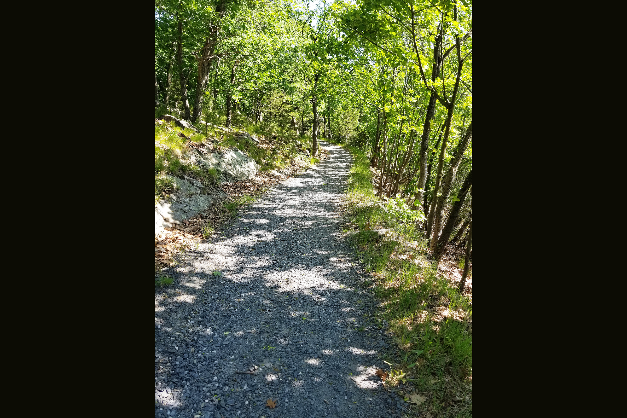 The Directorate of Public Works Roads Team completed a restoration project to improve Flirtation Walk. The team, led by Doug Miller, improved the storm water drainage, resurfaced the trails, cleared the heavy brush and removed debris.    (Photo courtesy of the Directorate of Public Works)
