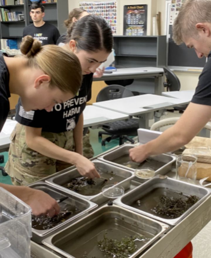 Trendy Pants and Shoes
