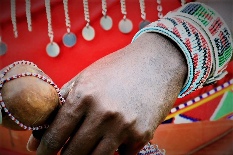 Foreign Area Studies: Africa Major