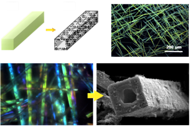 Trendy Pants and Shoes