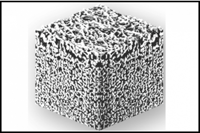 Trendy Pants and Shoes