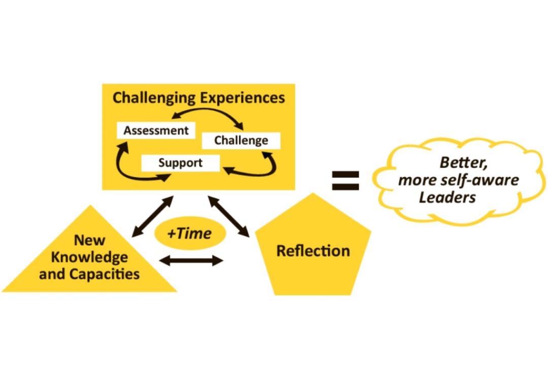 Figure: Leader Growth Model