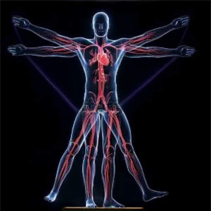 Trendy Pants and Shoes