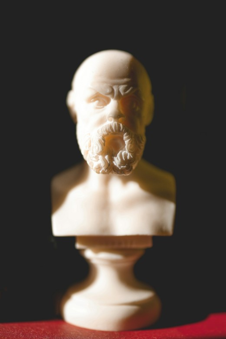 Portrait Image