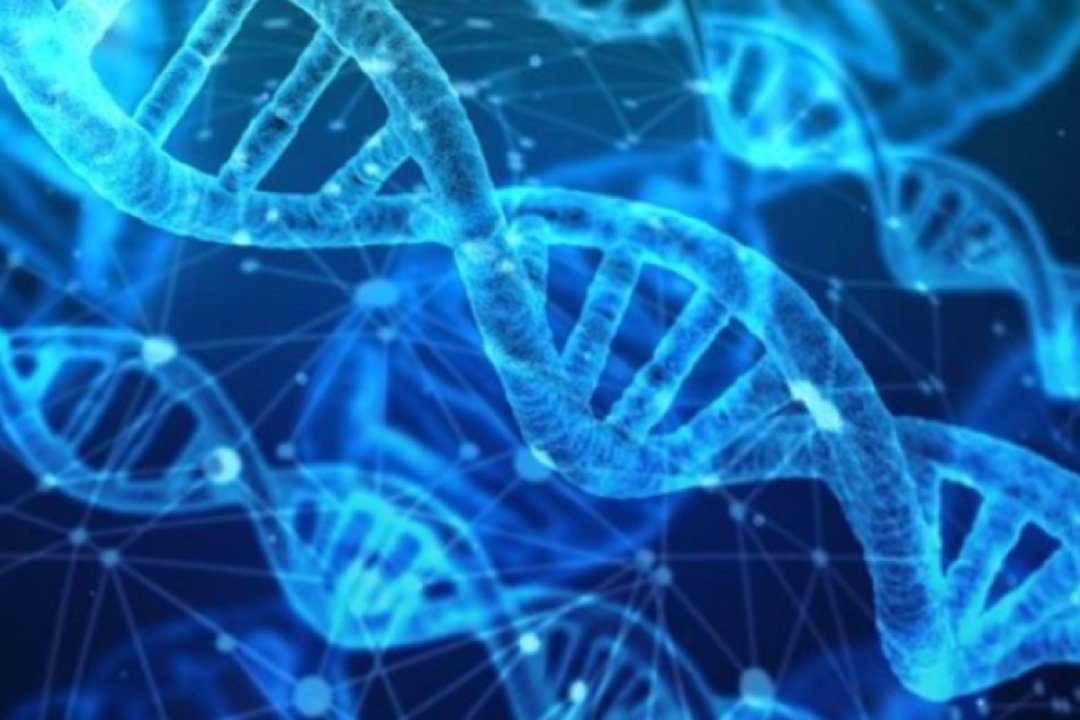 A blue-toned digital illustration features multiple DNA double helixes connected by glowing network lines, representing genetics and biotechnology.