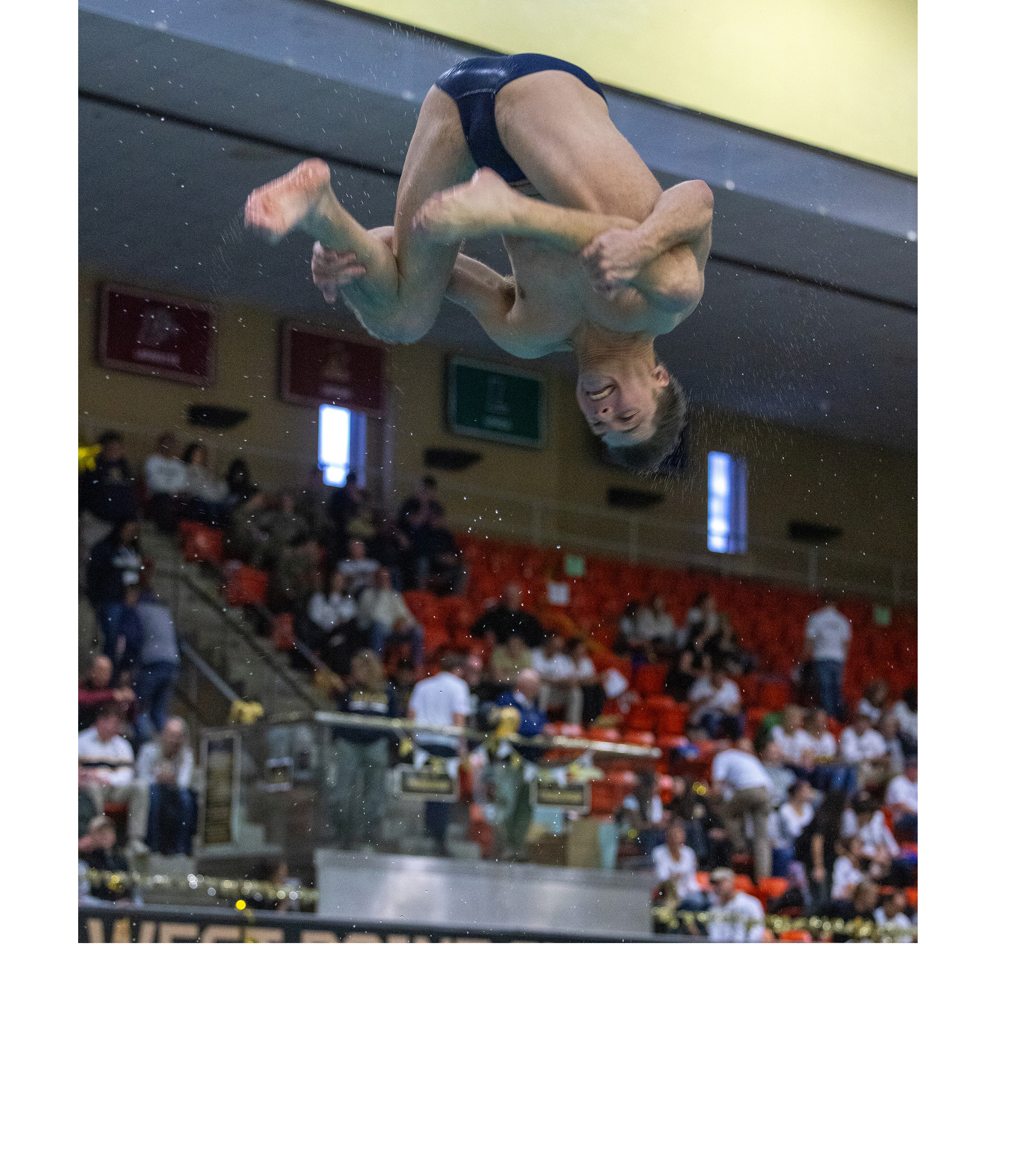 Army faced Navy in Swimming and Diving on Dec. 5 at Crandall Pool. The Army men's and women's teams swept the meet over Navy for the first time since 1988 to earn the 'Star.'  (Photo by Eric S. Bartelt/USMA PAO)
