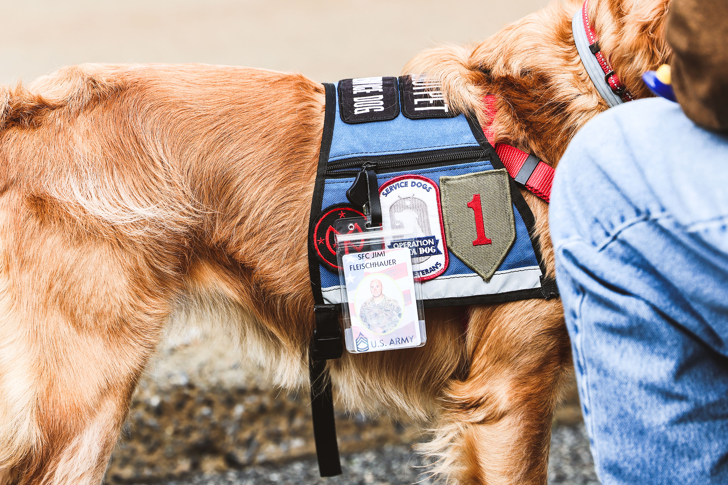 In a display of generosity, numerous donors and volunteers came together to place 7,200 wreaths at each headstone and columbarium section during the 14th annual Wreaths Across America on Dec. 2 at the West Point Cemetery.  This heartfelt gesture serves as a tribute to the thousands of West Point graduates, family members and others who are laid to rest in this hallowed ground, allowing their memory to be honored and cherished.   (Photo by Eric S. Bartelt/PV)
