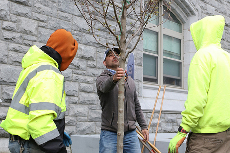DPW Management Agronomist Phil Kroury and his crew put the new Red Pointe into the ground.