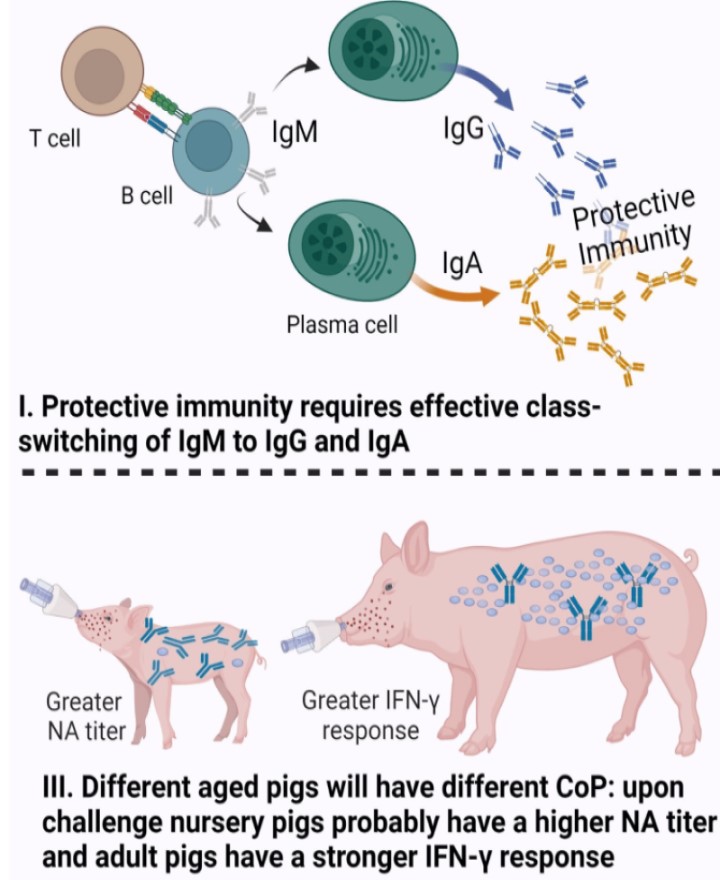 Trendy Pants and Shoes